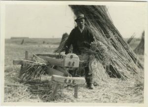 historical hemp break